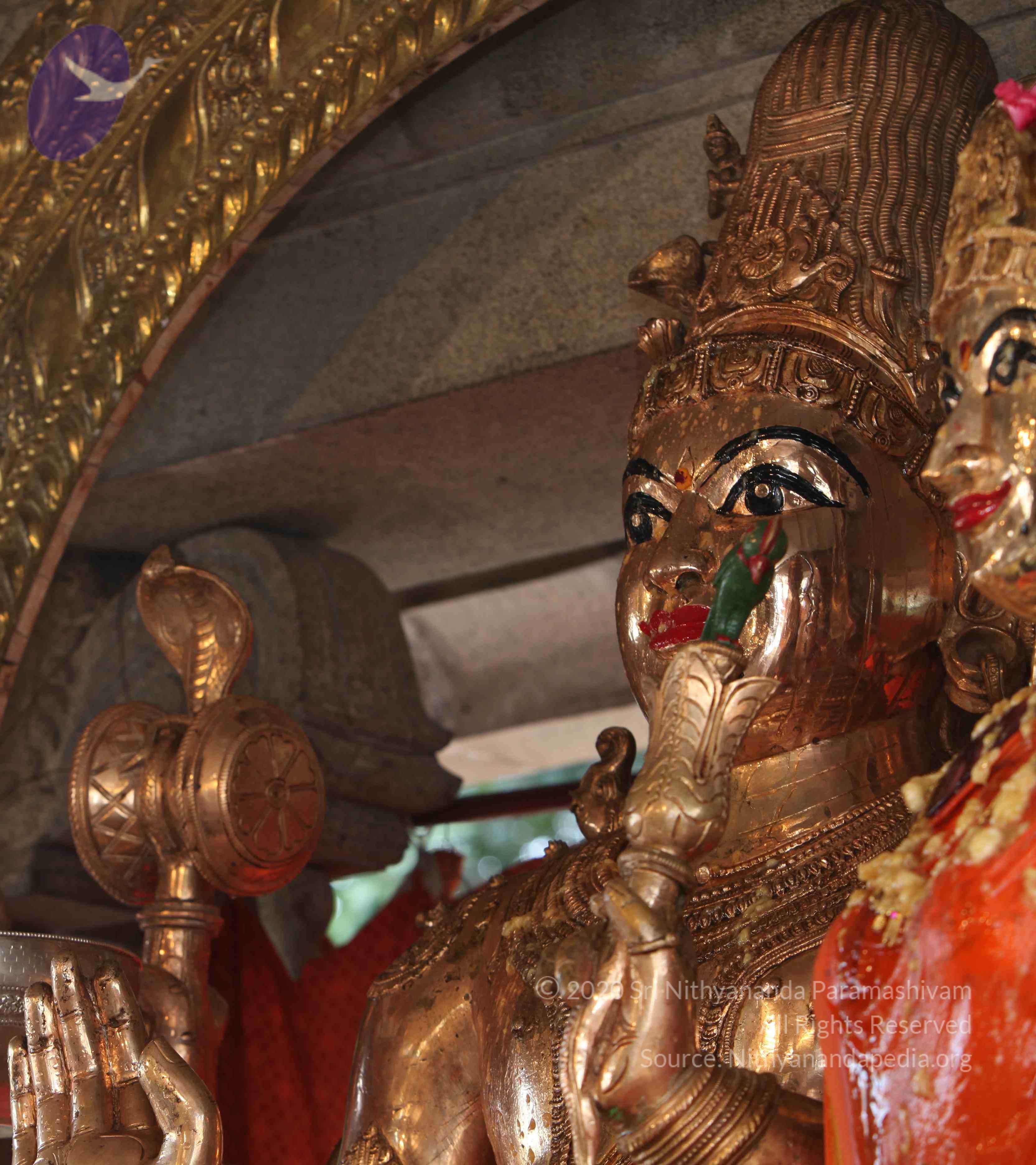 20110919_Photo_1004_IMG_9656_CMP_WM Done